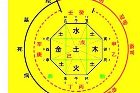 忌神|八字中忌神是什么意思？八字忌神对运势有哪些影响？。